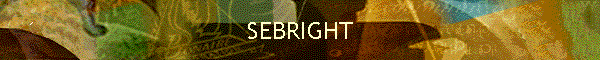 SEBRIGHT